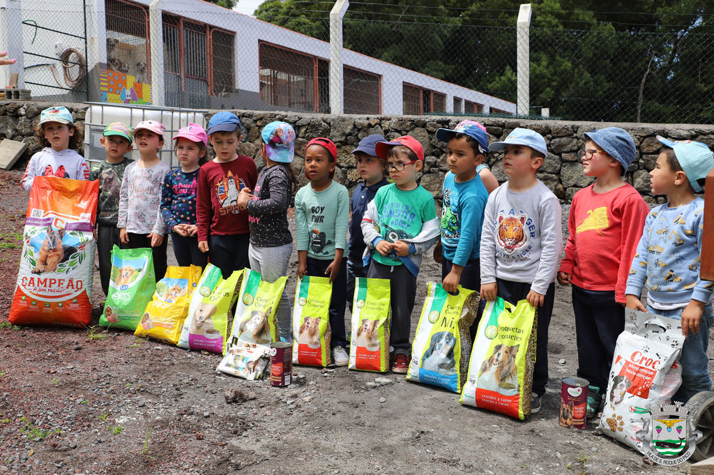 Crianças do Jardim de Infância Pica-Pau doaram alimentos ao Canil Municipal