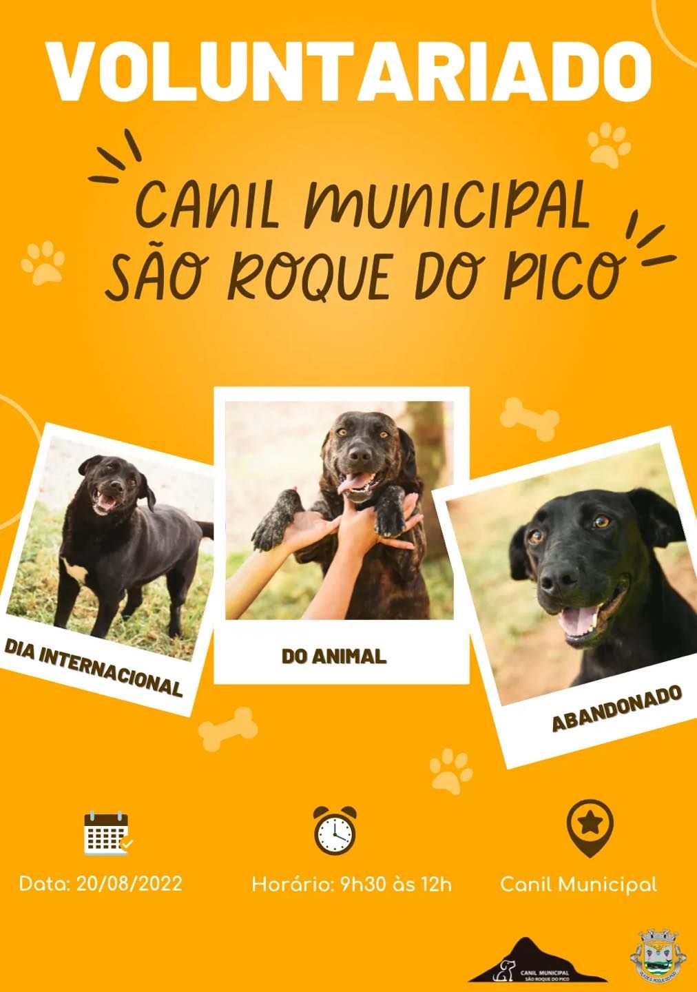 Município de São Roque do Pico assinala Dia Internacional do Animal Abandonado