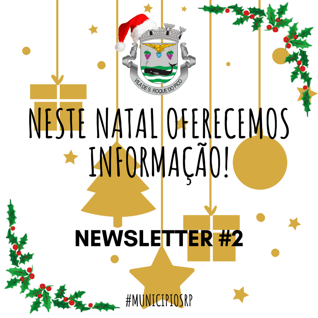 Newsletter #2