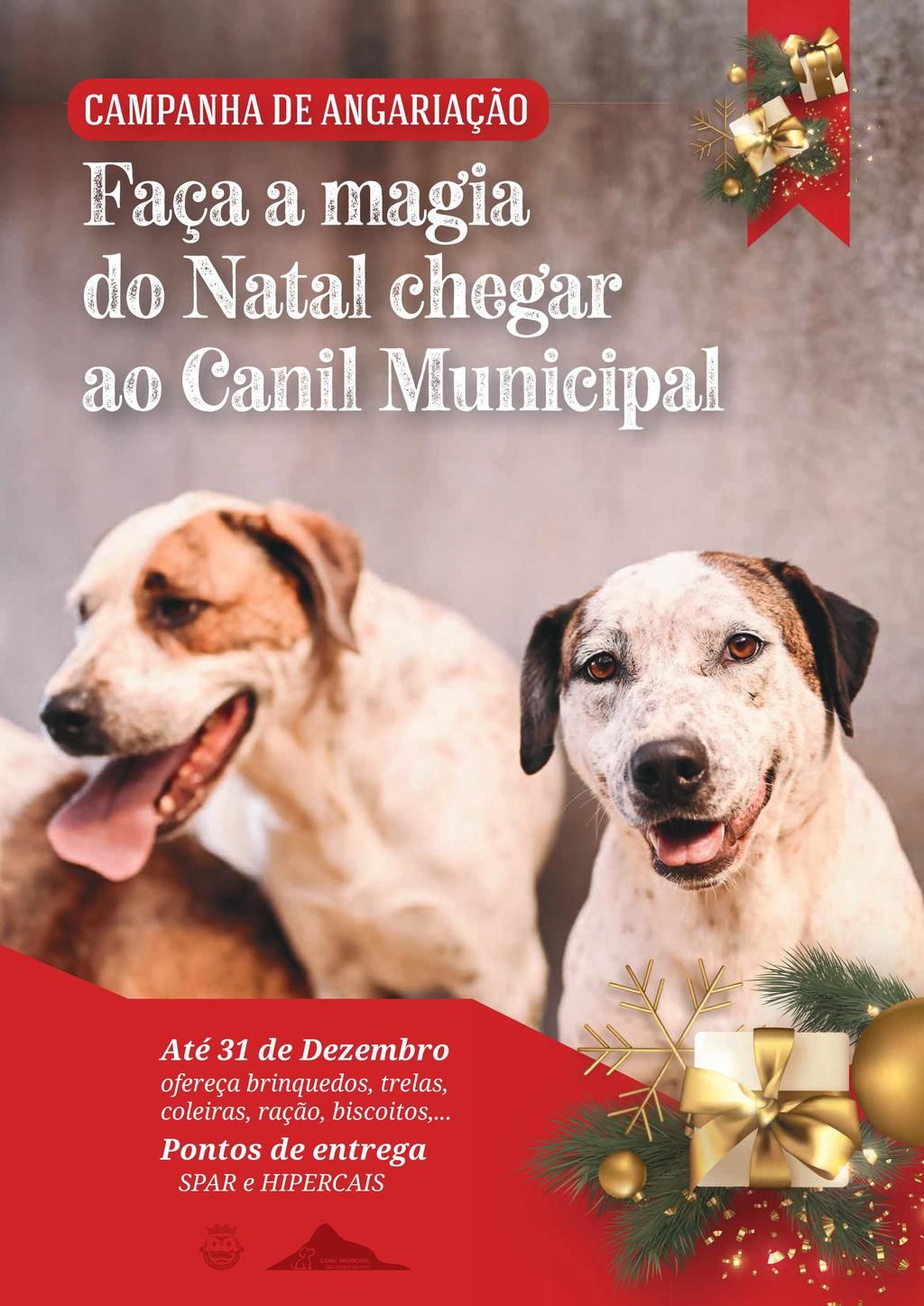 Faça um animal feliz este Natal