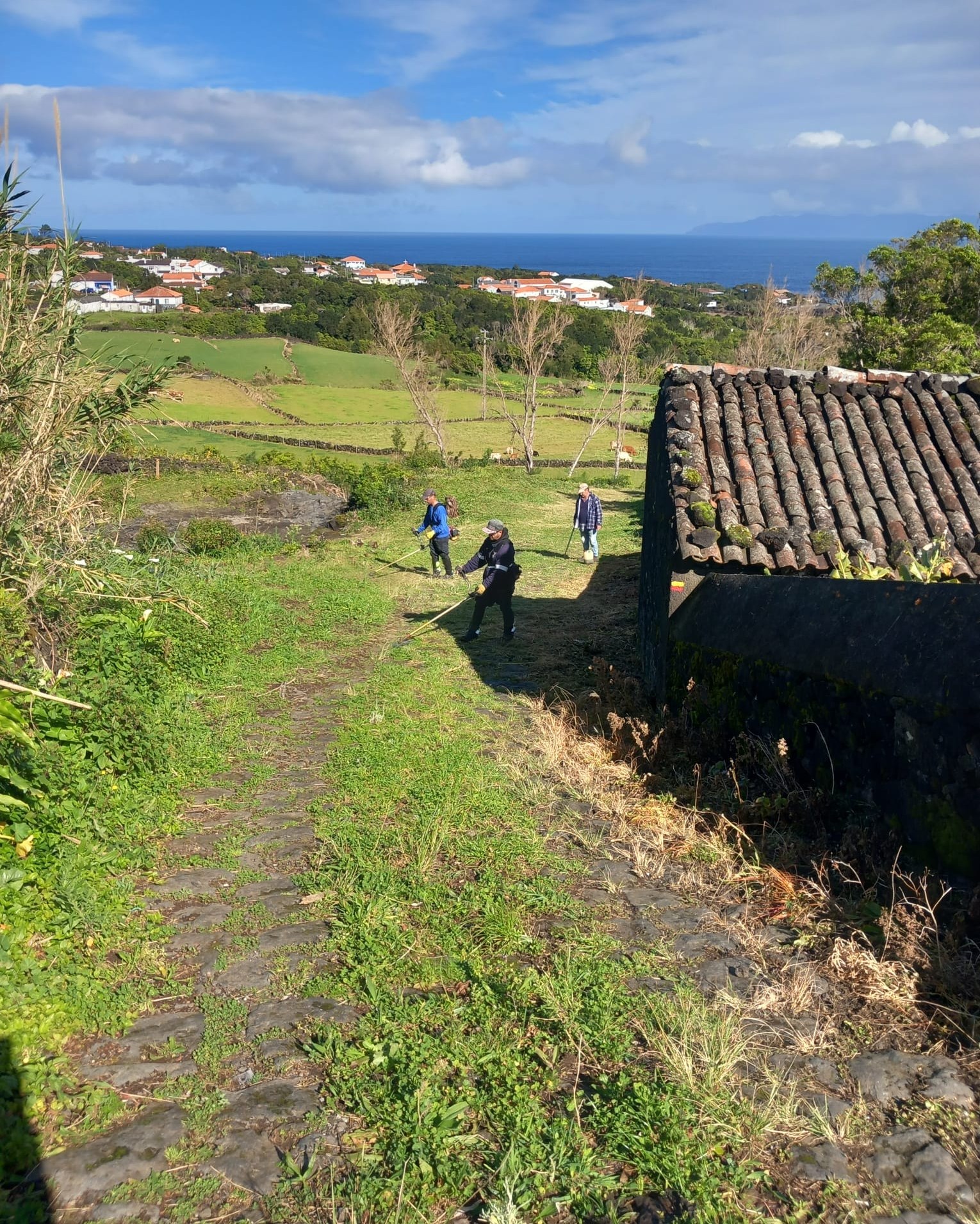 Câmara Municipal de São Roque do Pico faz manutenção no Trilho Ladeira dos Moinhos