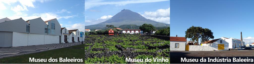 Museu do Pico dá a conhecer o seu Espaço Virtual (SITE)