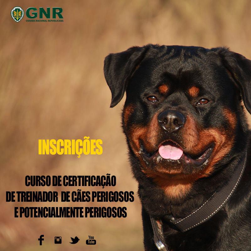 Curso de certificação de treinadores de cães perigosos e potencialmente perigosos