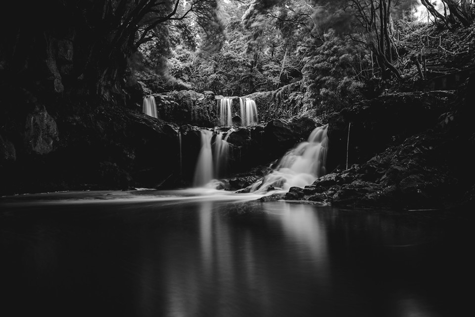 Vencedor do Concurso de Fotografia