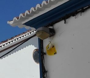 Projeto de Monitorização da Térmita da Madeira Seca nos Açores