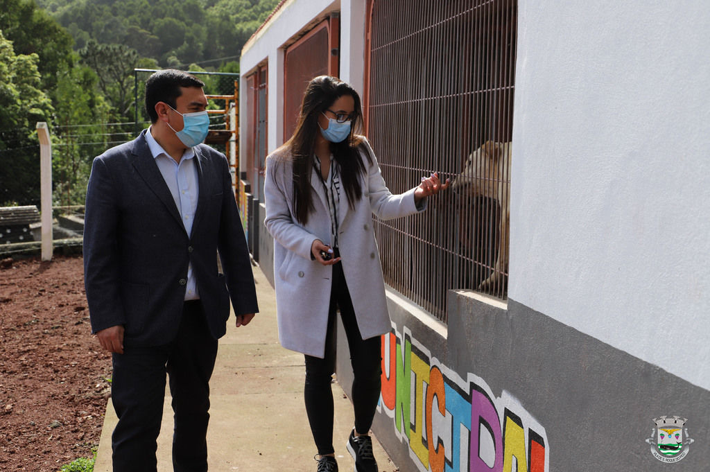 São Roque do Pico melhora condições do Canil Municipal