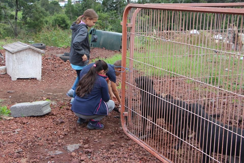 Educação para a Cidadania: Alunos do 4.º ano ajudam o Canil Municipal